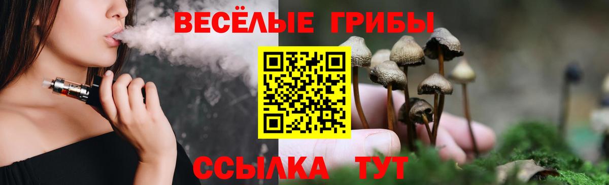 Галлюциногенные грибы MAGIC MUSHROOMS  купить закладку  Шахты  Вход с VPN  Галлюциногенные грибы ЛСД 