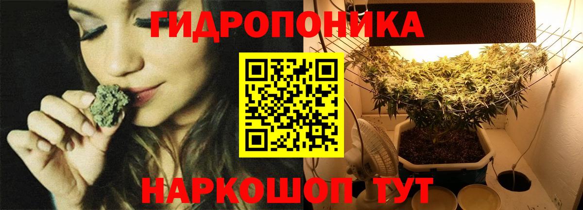 МАРИХУАНА марихуана Шахты